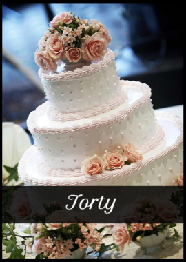 torty 2